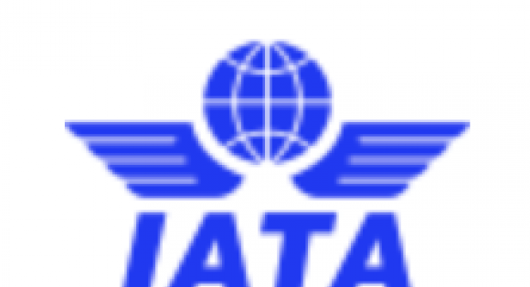Air Passenger Demand Slips 0.8% in August